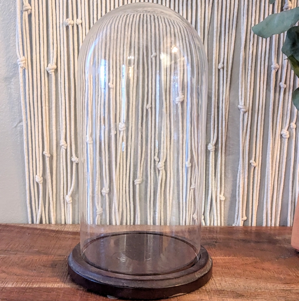 Glass Cloche with Brown Base